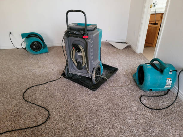  Manorville, NY Water damage restoration Pros