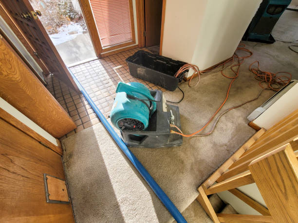 Best Fire Damage Restoration  in Manorville, NY