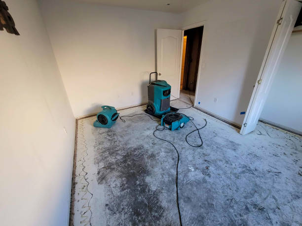 Best Water damage contractors near me  in Manorville, NY