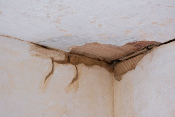 Best Sewage cleanup and water damage restoration  in Manorville, NY