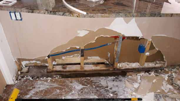 Best Mold removal after water damage  in Manorville, NY