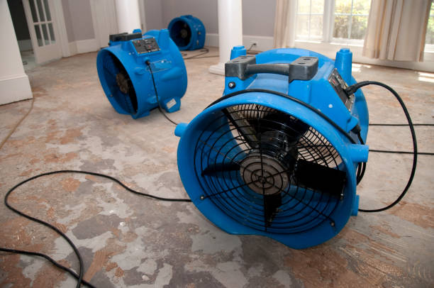 Best Flood damage cleanup  in Manorville, NY