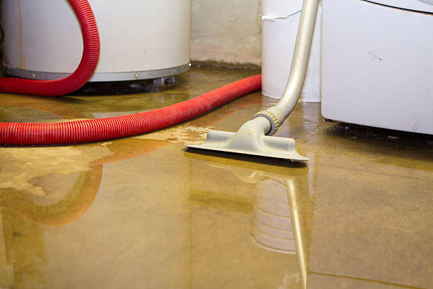Best Water damage cleanup near me  in Manorville, NY