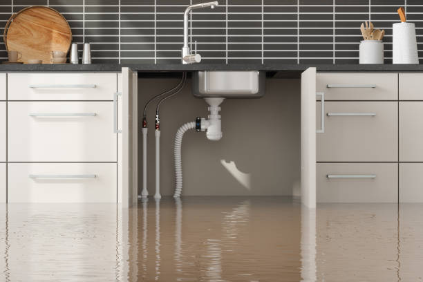 Best Water damage restoration services  in Manorville, NY