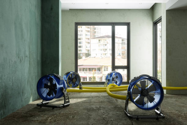 Best 24/7 water damage repair  in Manorville, NY